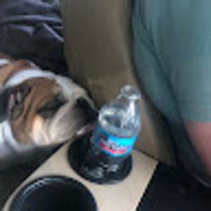 Meet your Posher, Ryan